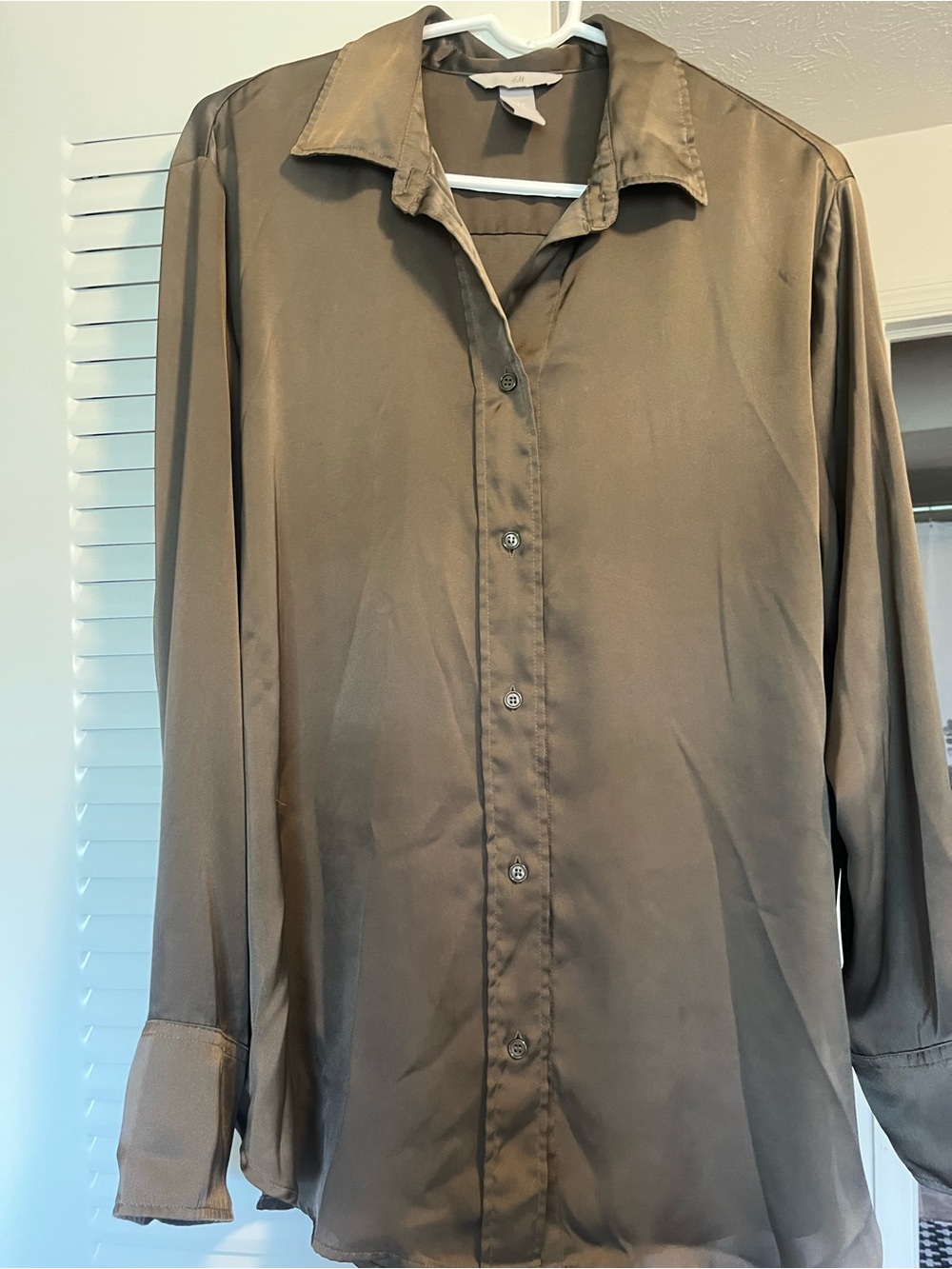 Silky Button-Up Blouse in Olive Brown